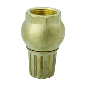 Water Check Valve One Way Valve PVC Material With Sizes