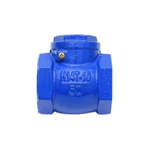 Water Conservancy 2 Inch Screw Check Valve Thread Check Valve