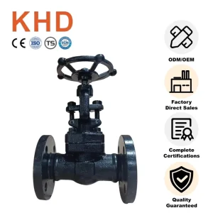 Water Gas Oil Shutoff Globe Valve DN15 A105N Manual Power Forged Material Globe Valve