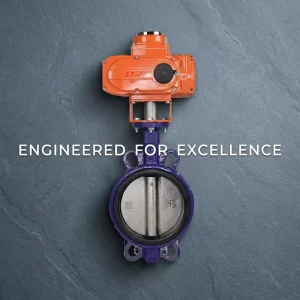 Water Pipeline Special Explosion Proof Electric Drive Long Service Life Cast Iron Clamp Butterfly Valve