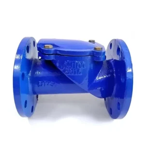 Water Supply Pipeline Irrigation PN16 QT450 GGG50 Ductile Iron Blue Epoxy Coated Flanged Check Valve Langqiao H44X Rubber