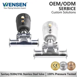 Wensen 316 Stainless Steel Pneumatic Quick install Diaphragm Valve with Tri clamp Chuck