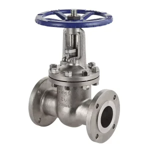 Wide Range of Applications Z41W 40P 3inch Sluice Gate Valves Gate Valve Cad Drawings