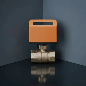 Winvall Mini Electric Ball Valve 220VAC Actuator1 2” 3 4” 1inch Electric 2 Way Ball Valve Small Motorized Floating Ball Valve