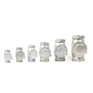 Work Pressure 1.6Mpa PN Normal Temperature Hydraulic Stainless Steel DN20 SS Screw End Swing Vertical Pipe Check Valve
