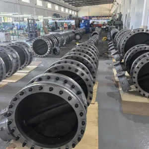 Worm Gear Operated Flange Butterfly Valve Stainless Steel Stem Ductile Iron Disc Water Treatment Valve