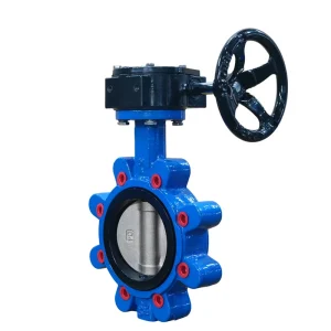 Worm Gear Operated Lug Type Butterfly Valve GGG50 Ductile Iron EPDM Seated Valve for Manual Water Control