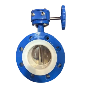 Worm Gear PTFE Sealed Butterfly Valve Ductile Cast Iron Body CF8 Disc Stainless Steel Stem