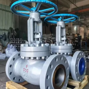 Y-Pattern Gate Valve 316 SS High Pressure Steam Service ISO 17292 ASME B16.5 Cryogenic Extended Bonnet