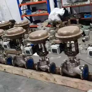 Y Pattern Stainless Globe Valve 316 Straight Through Slurry Service Mining Dewater