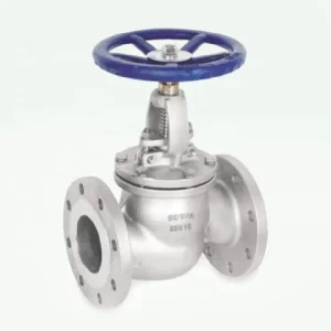 Y Pattern Stainless Steel Globe Valve 304 316 1/2 Inch to 6 Inch Low Flow Resistance