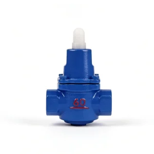 Y416X Threaded Pressure Reducing Valve PN16 Automatic Pressure Stabilization Ductile Iron