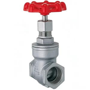 Z15W Stainless Steel Small-sized Gate Valve DN15-DN80 1/2 Inch to 3 Inches Factory Direct Sales