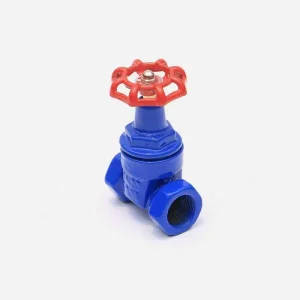 Z15X 16Q Thread Ductile Iron Valve DN15 DN10 Size Manual Domestic Water Pipe Soft Sealing Thread Gate Valve