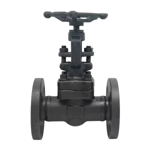 Z41H 16C Forged Steel Flange Gate Valve Powerless High Temperature Valve Steam Heat Conduction Oil Gas Pipeline DN25 50 Custom