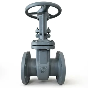 Z41H-16C Gate Valve Handle WCB Body Flange Connection GOST Standard for Water D-level Sealing 300