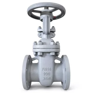 Z41H 16C Industry High Quality GOST Manual Medium Temperature Flanged Gate Valve DN50 250 PN16 Suitable for Water Oil Gas