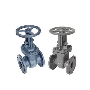 Z41H-16C Manual Hand Wheel Gate Valve Flange Connection Stainless Sealing PN16 DN50-250 Normal Temperature for Water