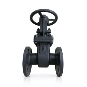 Z41H Gate Valve Flange Connection Carbon Steel PN16 100 DN50 250 Manual Suitable Medium Water 300 Temperature Handle Wheel