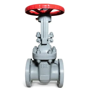 Z41H Heavy Type Manual Gate Valve Flange Connection WCB PN16 DN50-300 for Water Steam Oil GOST Standard