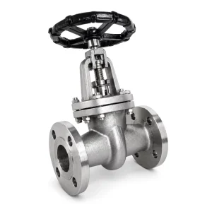 Z41W 10R CF3M 316L Stainless Steel Manual Flange End Gate Valve Equivalent to ANSI Class 150