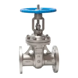 Z41W-16HC Manual Bi-directional Medium-sized High-temperature Sealing Valve Made HC276 Alloy 304 Stainless Steel Flanged Gate