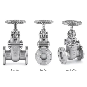 Z41W 25R 316L Rising Stem Manual Gate Valve SS316L CF3M PN25 Flange Equivalent to Class 300 High Pressure Valves