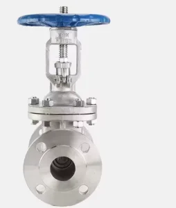 Z41W 300LB Flanged Soft-Seated Gate Valve Water Supply Gate Valve Flanged Gate Valve Resilient Seat Sealing Plate 304 Valve Body