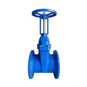 Z41X Stemless Soft sealing Gate Valve Flange Fire Pump Room Domestic Water Supply Switch Valve Elastic Seat sealed Gate Valve