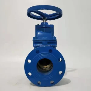 Z45T 16 Ductile Iron Non rising stem Copper Core Flange Gate Valve Copper Core Hard Seal Gate Valve Suitable for Water Supply