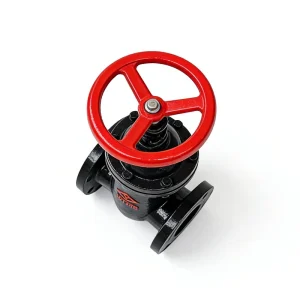 Z45T Concealed Stem Gate Valve Cast Iron Flange Seal Fire Water Use Copper Core Moving Gate Valve Water and Gas Connection