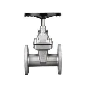 Z45X 16P 304 Stainless Steel Soft Seal Flanged Manual Concealed Outside Stem Wedge Gate Valve DN100 Fire Water Pipeline