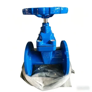 Z45X 16Q BS5163 Manual Non-rising Stem Resilient Seated Flanged Ductile Iron 6 Inch Water Gate Valve 75mm