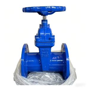 Z45X 16Q BS5163 Manual Non rising Stem Resilient Seated Flanged Gate Valve Ductile Iron 6 Inch (75mm) Water Application