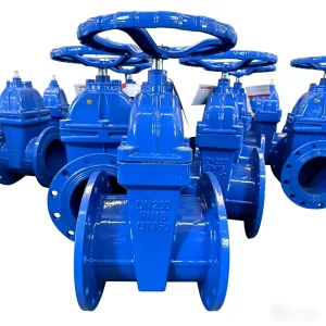 Z45X 16Q BS5163 Non-rising Stem Resilient Seated Flanged Gate Valve Ductile Iron 6 Inch 75mm Water Application