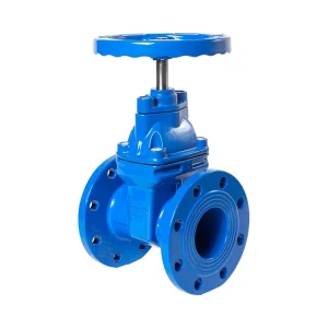 Z45X-16Q Cast Iron DN50 Flange Gate Valve Industrial Pipeline Manual Turbine Gate Valve with Concealed Soft Seal for Water