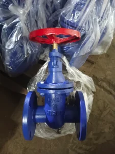 Z45X 16Q Manual Ductile Iron Flange Soft Seal Gate Valve DN50 DN1200 Water Supply Drainage Warranty