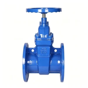 Z45X 16Q Protective Gate Valve with Concealed Stem PN16 Gate Valve Made of Ductile Iron Municipal Water Pipe Gate