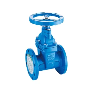 Z45X BS5163 PN10 PN16 Manual Soft Seal Flange Ductile Iron Gate Valve for Water Gas Oil General Application