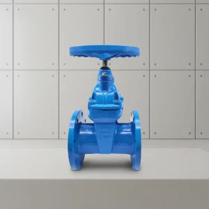 Z45X DIN3352 F4 F5 Ductile Iron Water Supply System Non Rising Stem Flange Gate Valve