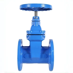 Z45X Gate Valve Soft Sealing Cast Metal Irrigation Network Industrial Flow Control Tool Component