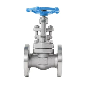 Z61H-1500LBP American Manual Steam Flange Hard Seal F304 Shutoff Structure Oil Standard Forged Stainless Steel Gate Valve