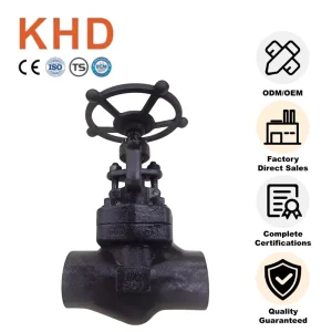 Z61H 800LB A105N Forged Steel Gate Valve Screw Type Female Thread High Pressure SW Gate Valve