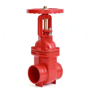 Z81X 16Q Red Cast Iron Groove mounted Gate Valve with Flexible Sealing for Fire Protection Suitable for Water Medium DN50 DN20