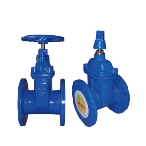 ZASOM Manual Resilient Seated Flange End Cast Steel Gate Valve 1.5 Year Warranty 6kg Jiangsu Origin