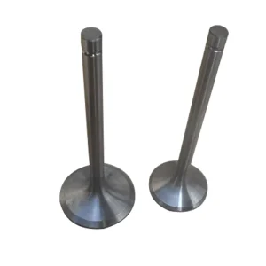 ZS1130 Diesel Engine Spare Parts Valve for Machinery Engine