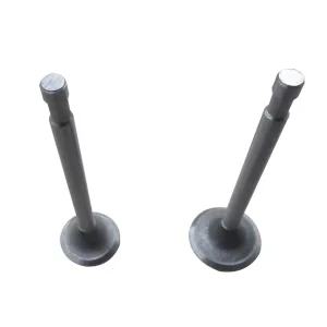 diesel Engine Spare Parts Valve for R175